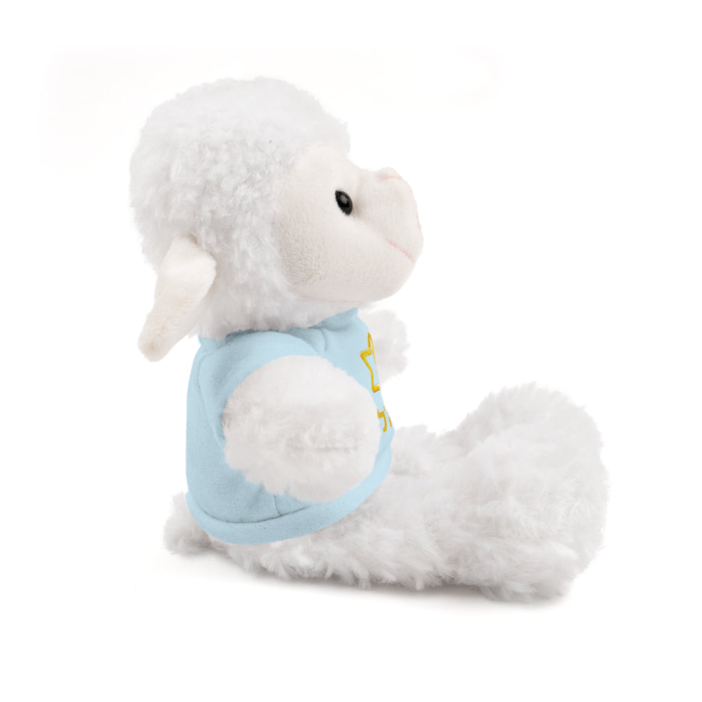 IDF Stuffed Animals with Tee