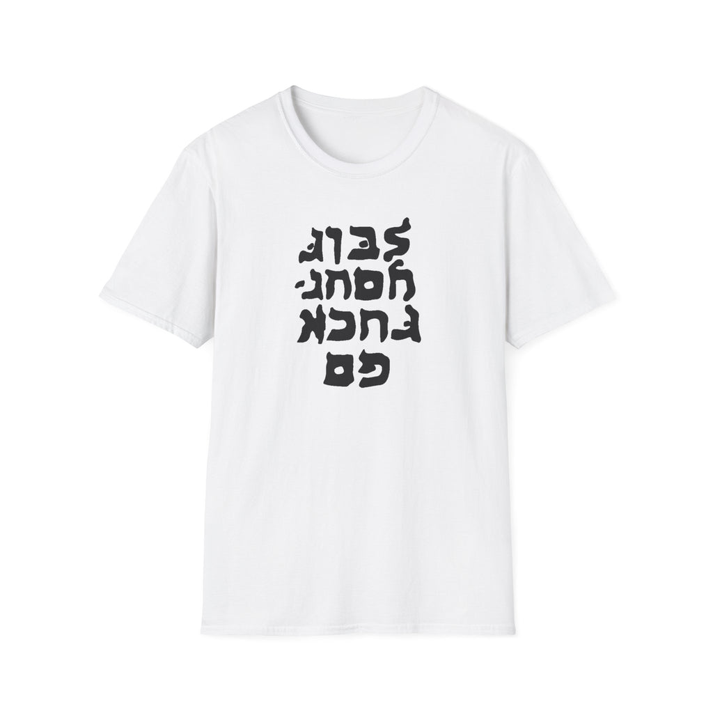 Go F.. yourself fake Hebrew Unisex Heavy Cotton Tee