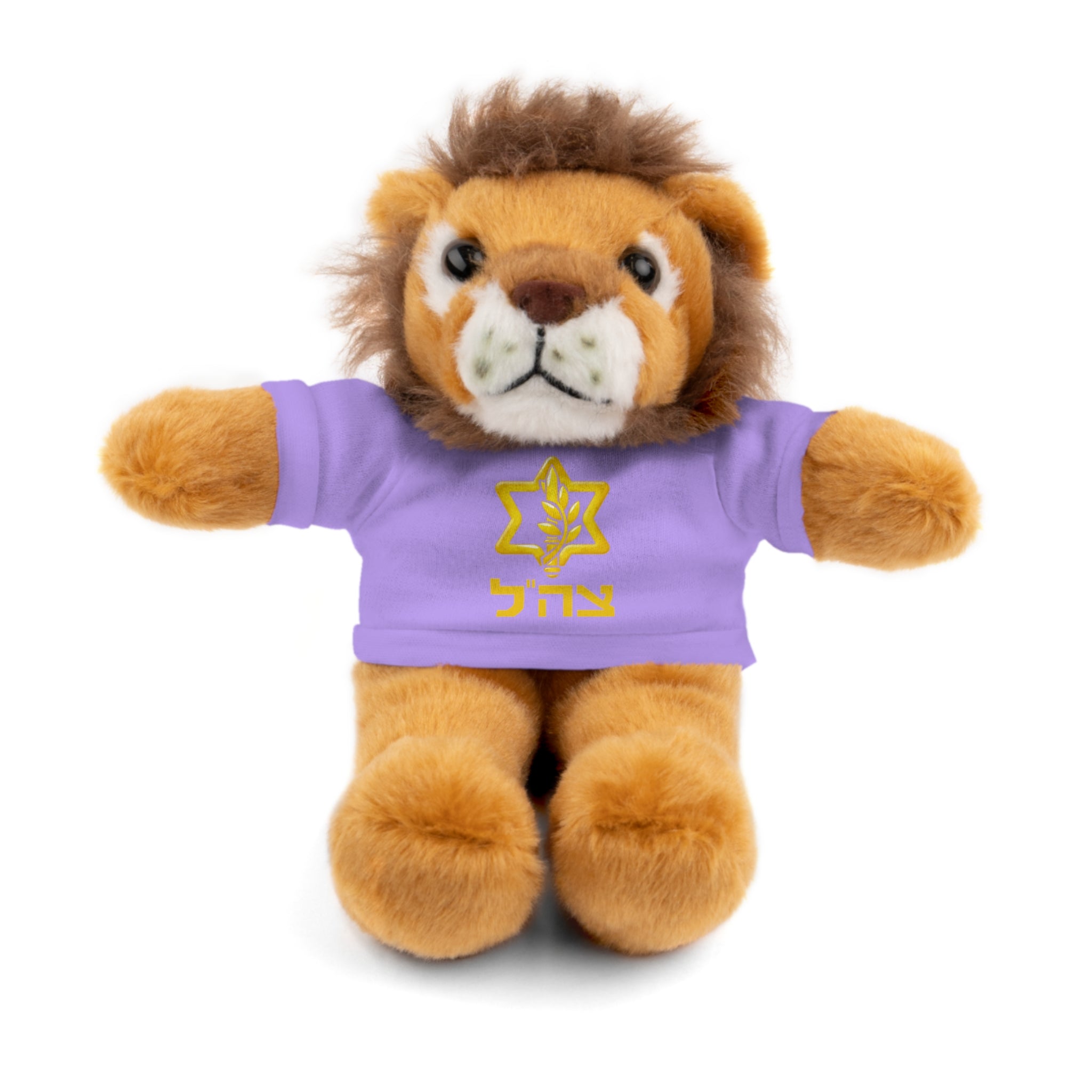IDF Stuffed Animals with Tee