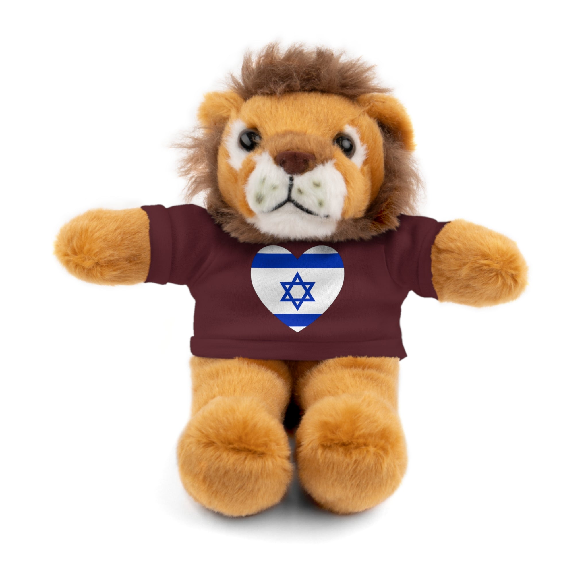 Israel flag Stuffed Animals with Tee