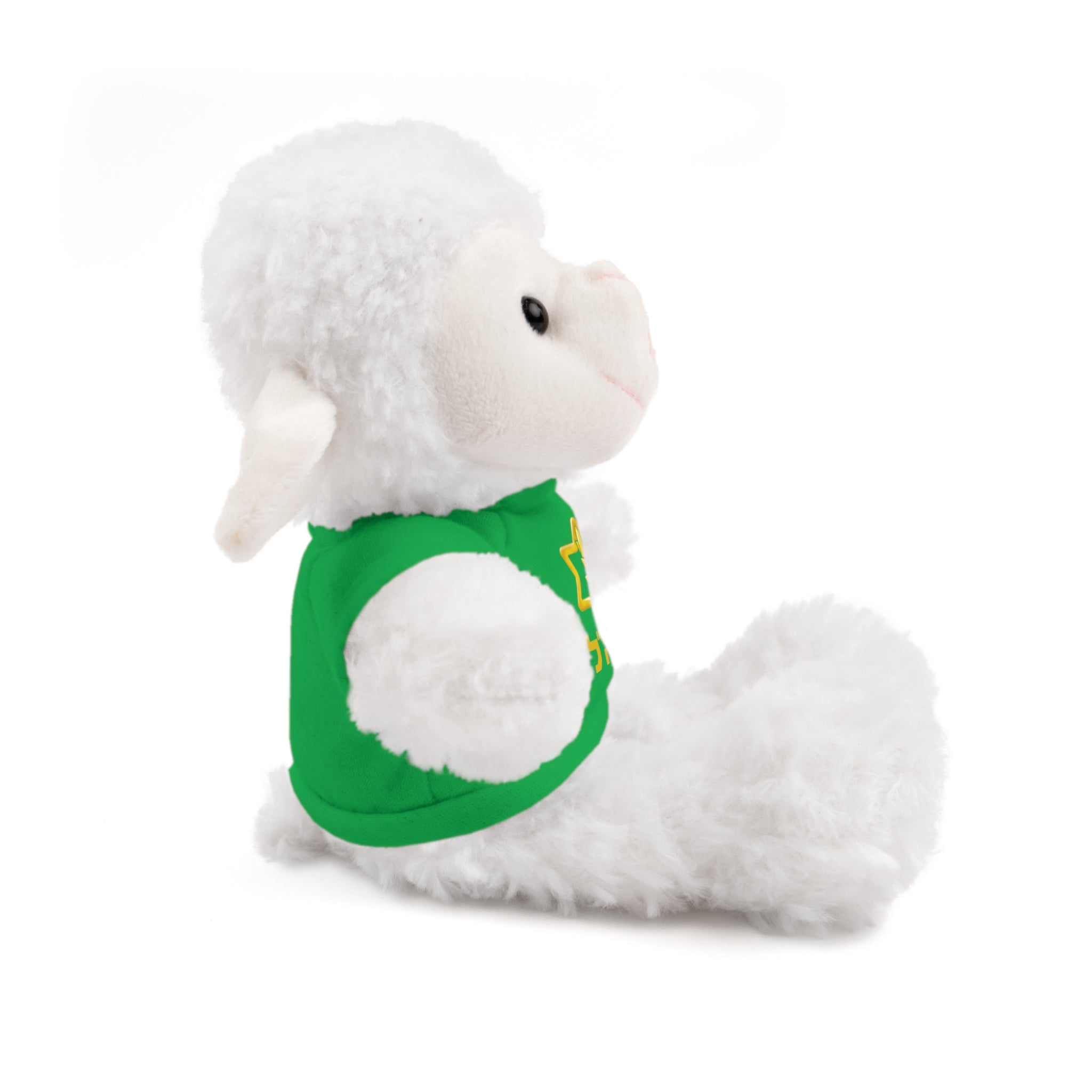 IDF Stuffed Animals with Tee