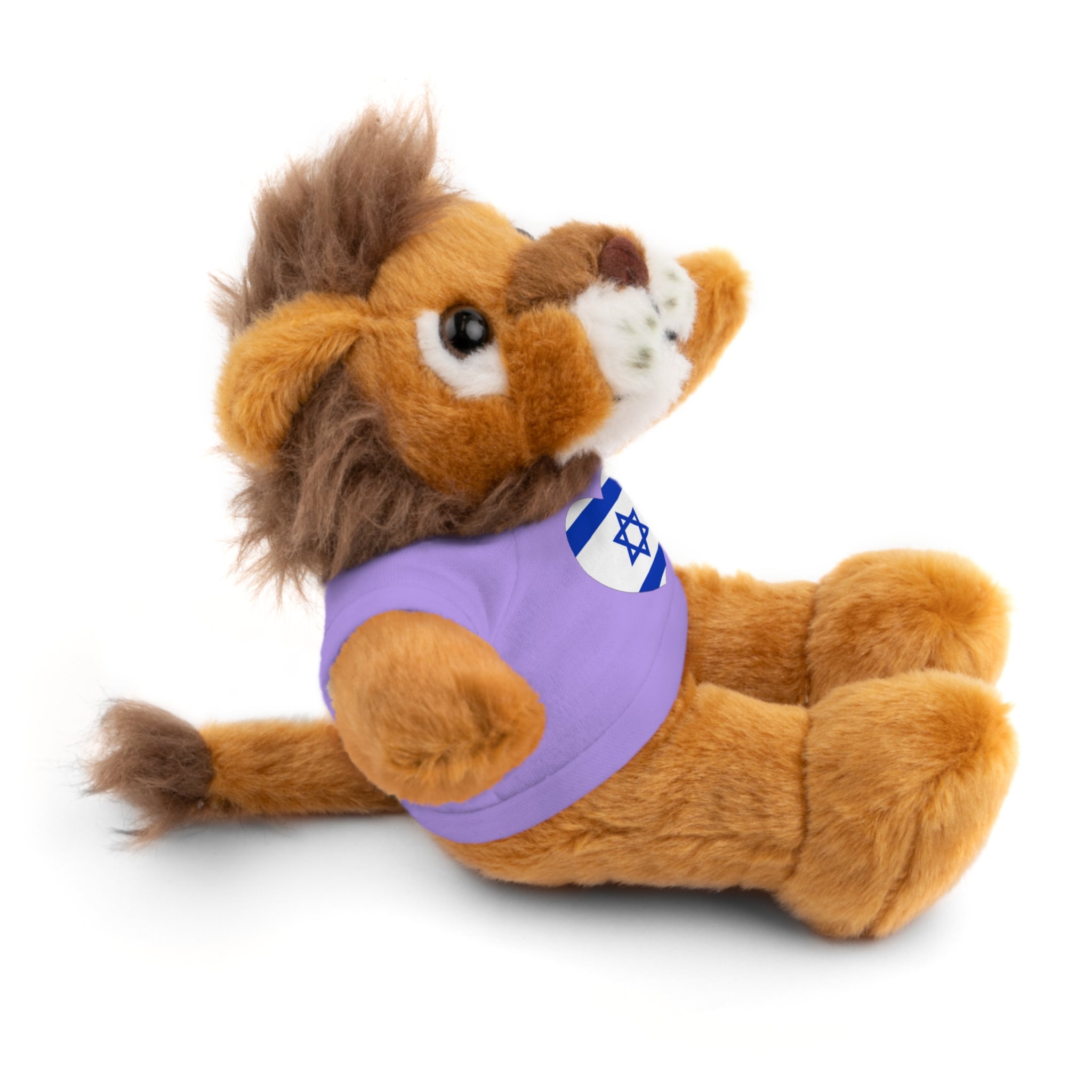 Israel flag Stuffed Animals with Tee