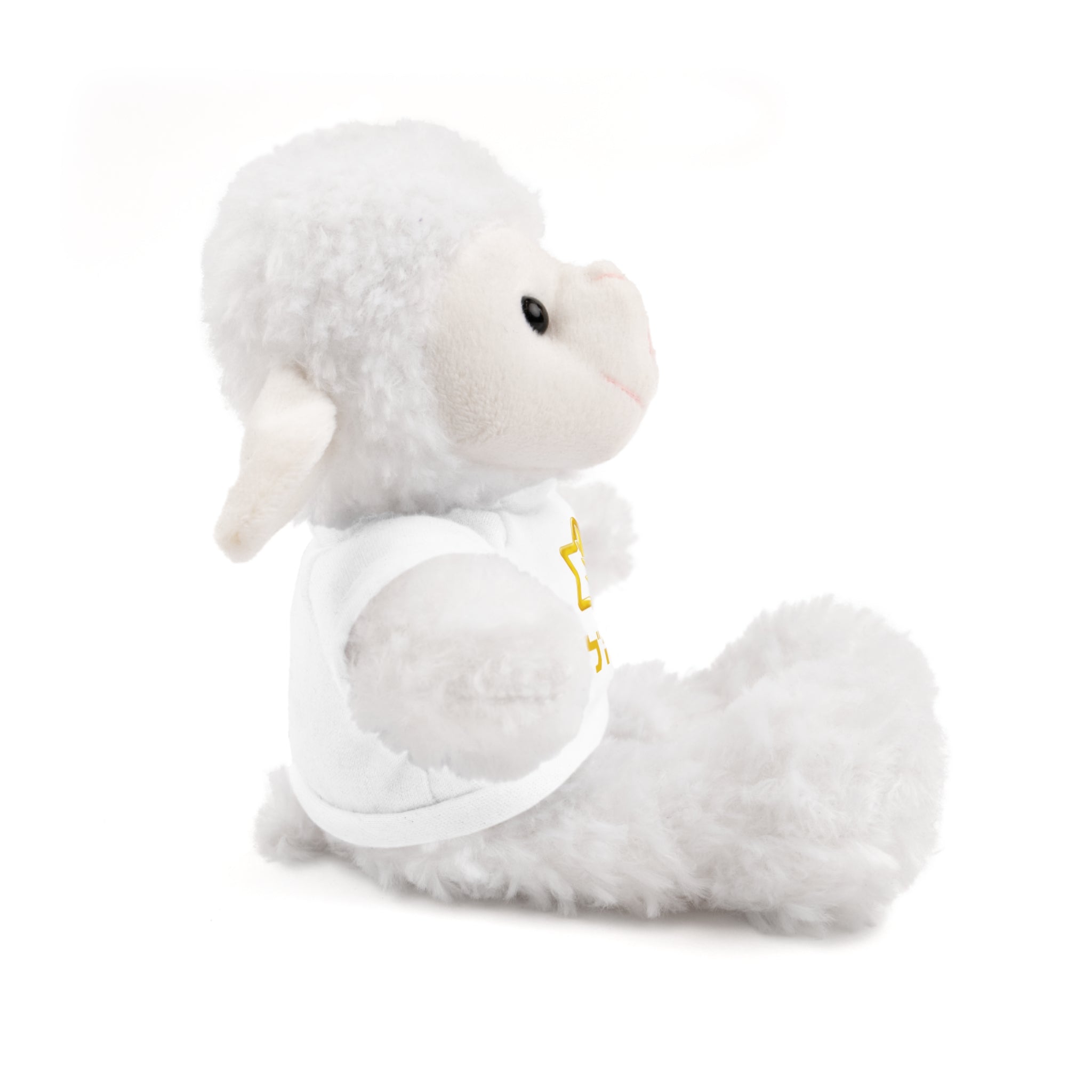 IDF Stuffed Animals with Tee