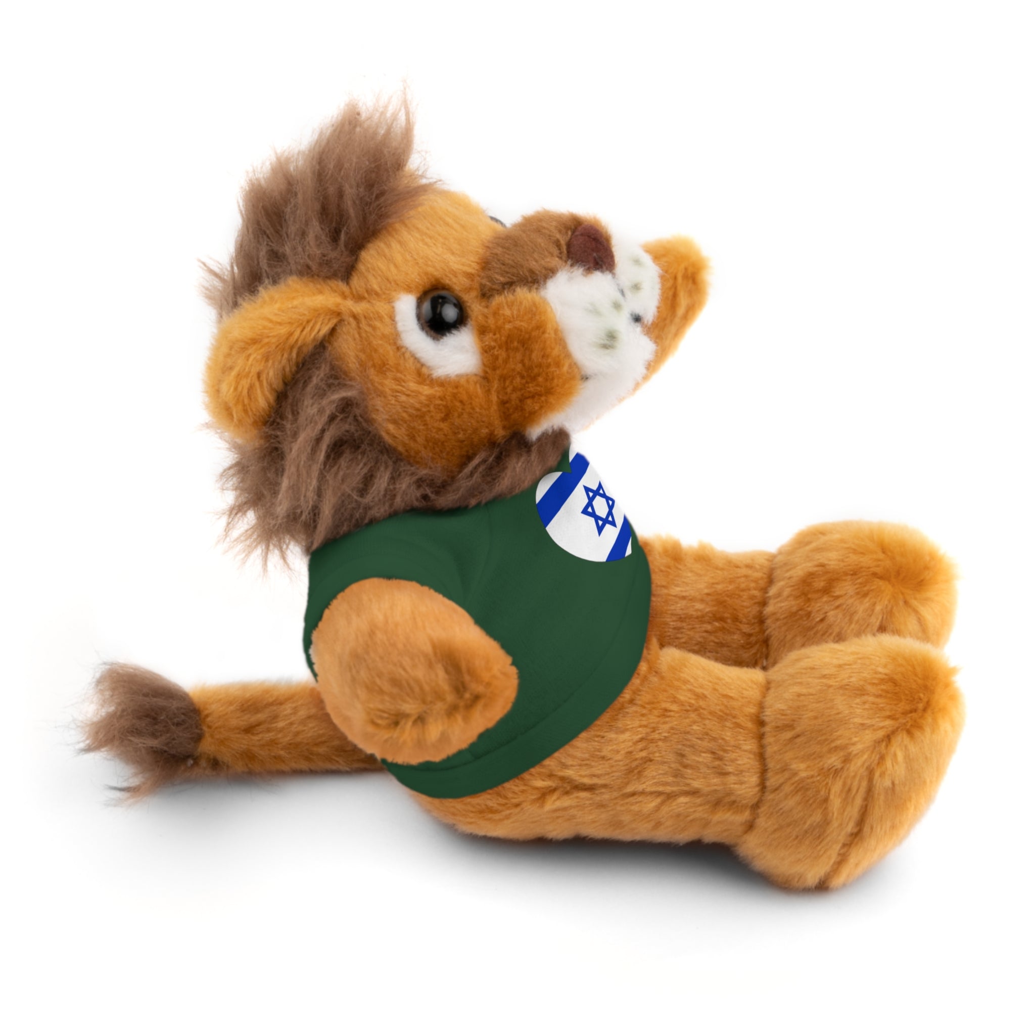 Israel flag Stuffed Animals with Tee