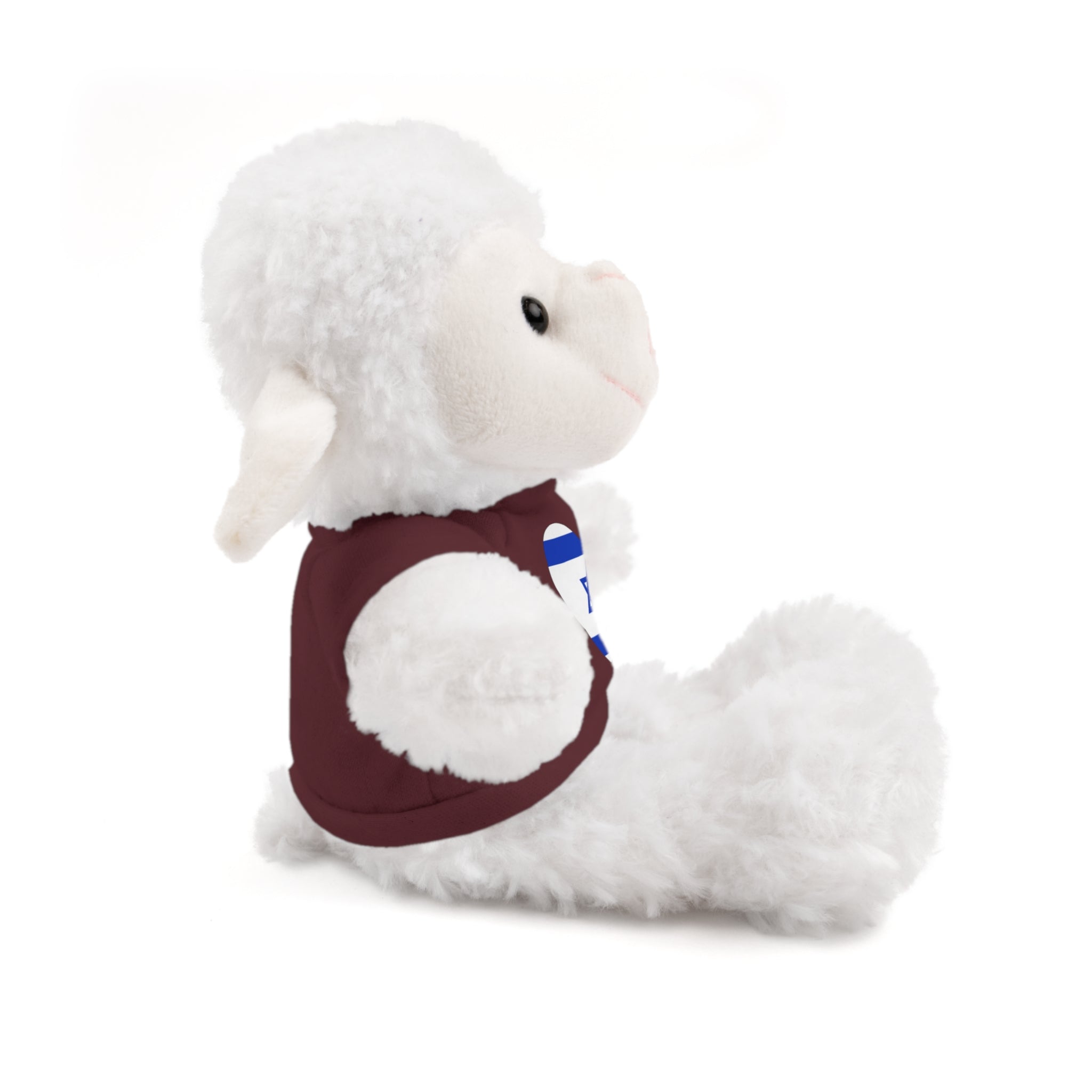 Israel flag Stuffed Animals with Tee