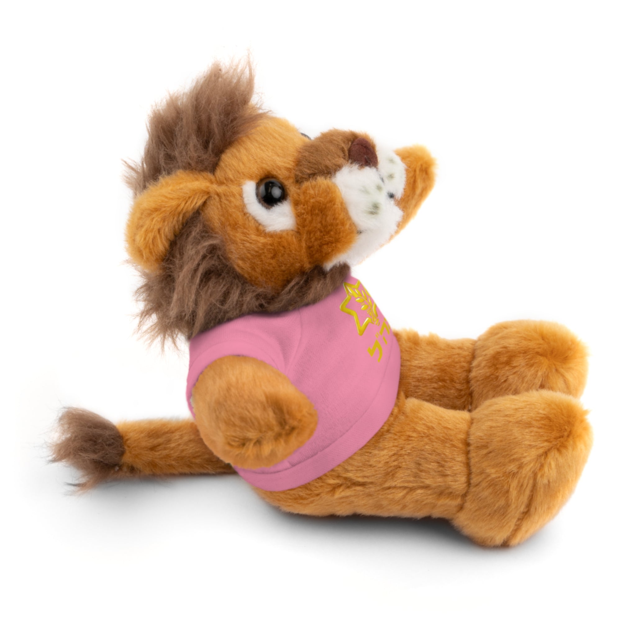IDF Stuffed Animals with Tee