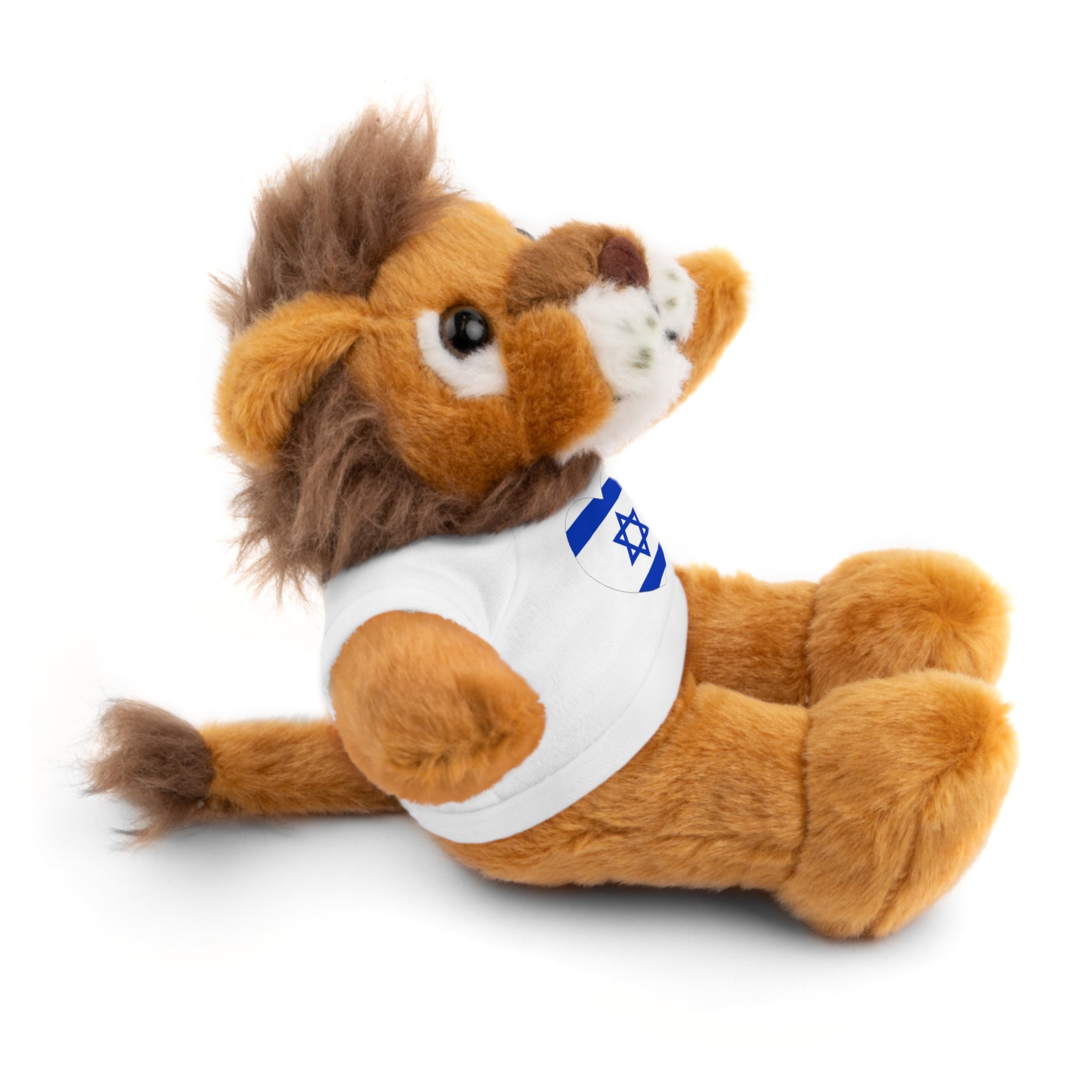 Israel flag Stuffed Animals with Tee