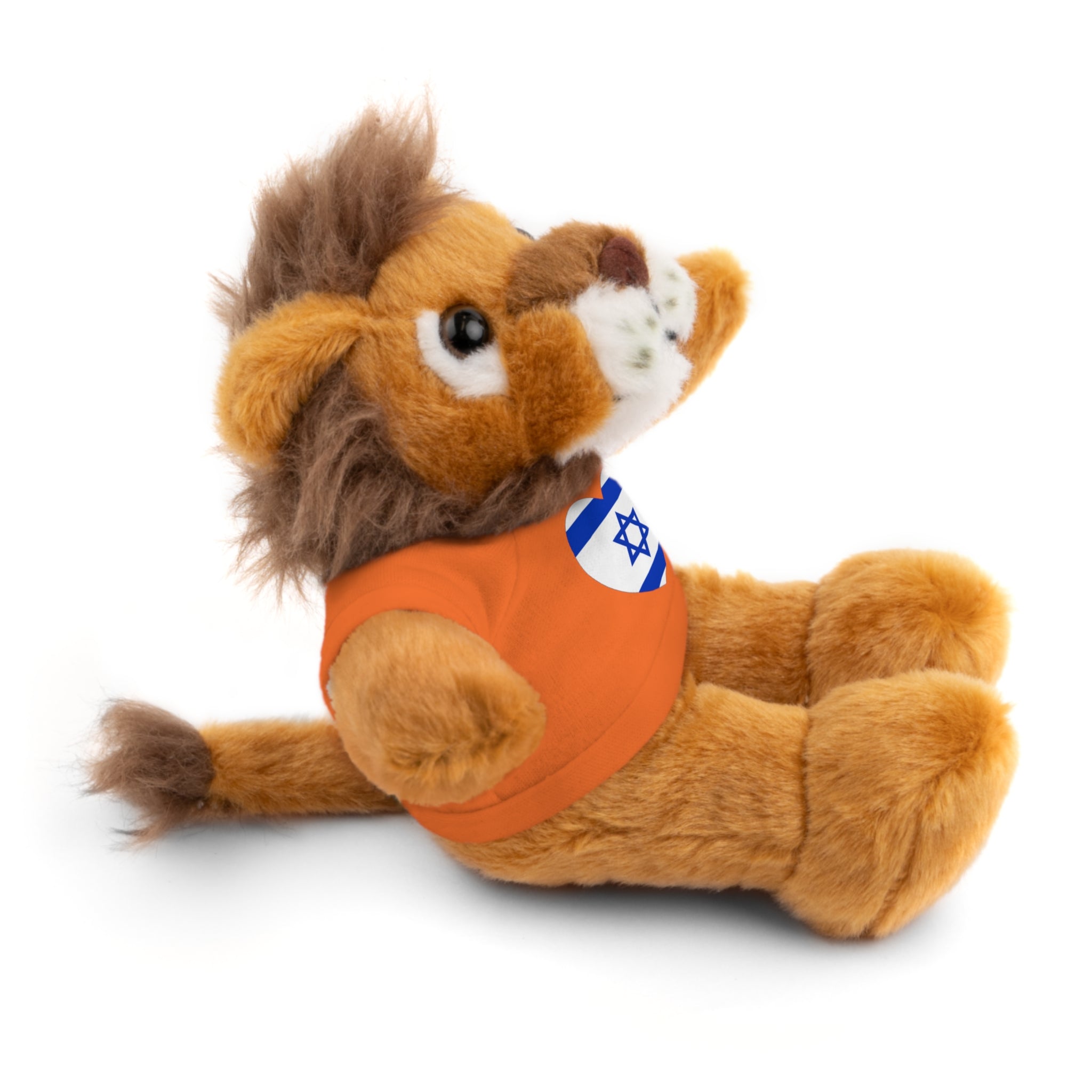 Israel flag Stuffed Animals with Tee